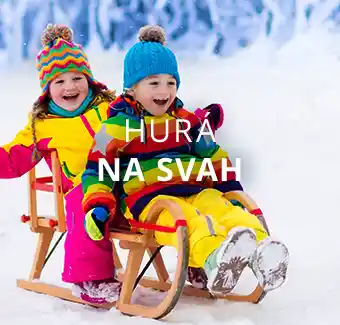 Sáně a boby