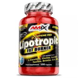 Amix Nutrition Lipotropic Fat Burner 100 kapslí Amix Nutrition Lipotropic Fat Burner 100 kapslí