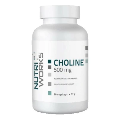 NutriWorks Choline 500mg 90 kapslí