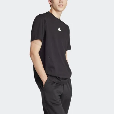 Adidas BL SJ T Q1 IP4077 M pánské tričko