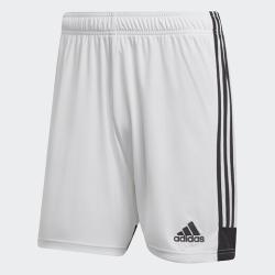 Adidas Tastigo19 SHO DP3247 pánské šortky fotbal