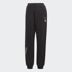 Adidas W BLUV Q3 FT PT IJ8769 dámske tepláky