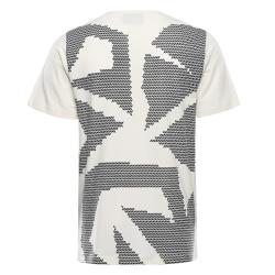 Alpine Pro CAMPION pánské triko z olympijské kolekce zoh 2026 NEUTRÁLNÍ / ZEMITÁ