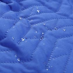 Alpine Pro LOLLA 2 dámská fialová ultralehká sukně