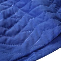 Alpine Pro LOLLA 2 dámská fialová ultralehká sukně