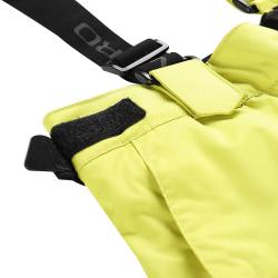 Alpine Pro OSAG pánské zelené lyžařské kalhoty s membránou ptx