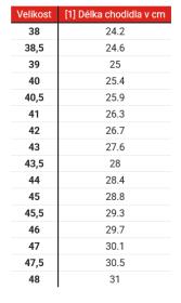 Alpinestars Topánky na motorku Sektor čierne