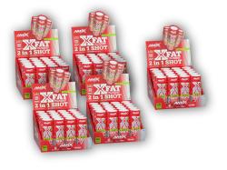 Amix 4x X-Fat 2 in 1 Shot Box 20x60ml + 1x ZDARMA