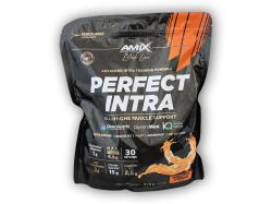 Amix Black Line Perfect Intra 870g