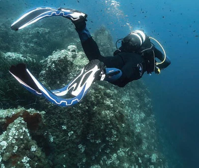 Aqua Lung/Technisub Ploutve Aqua Lung PHAZER POUZE L (41/43) bílá/růžová (VÝPRODEJ)