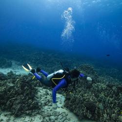 Aqua Lung/Technisub Ploutve Aqua Lung PHAZER POUZE L (41/43) bílá/růžová (VÝPRODEJ)