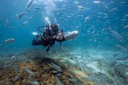 Aqua Marina BlueDrive X Single Battery 2025 motor