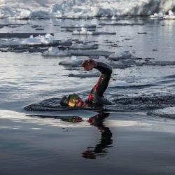 Aqua Sphere Plavecké brýle DEFY.ULTRA zrcadlová skla zlatá (VÝPRODEJ)