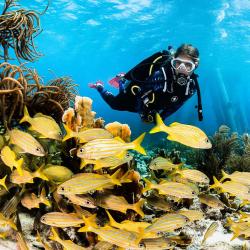 Aqua Lung/Technisub Maska Technisub LINEA