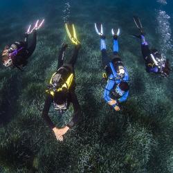 Aqua Lung/Technisub Plutvy Aqua Lung PHAZER