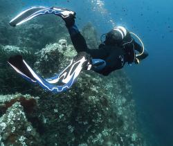 Aqua Lung/Technisub Plutvy Aqua Lung PHAZER