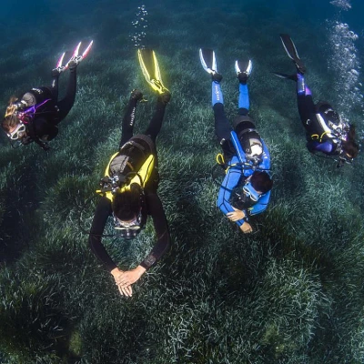 Aqua Lung/Technisub Ploutve Aqua Lung PHAZER