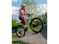 Author Limit 24 2025 šedé/limeta/zelené dětské kolo + výbava zdarma