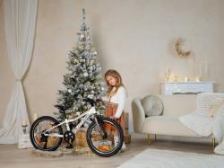 Author Record 20 2025 šedé/limeta/červené dětské kolo + výbava zdarma