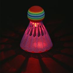 NILS NBL6092 Badmintonový a pěnový míček