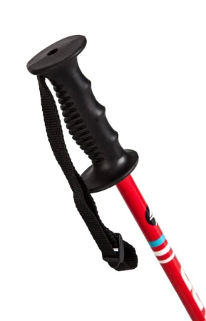 Blizzard Sjezdové hole RACE JUNIOR 70-90 cm