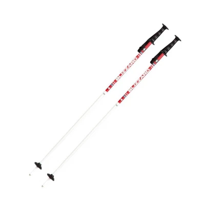 Blizzard Sjezdové hole RACE JUNIOR 70-90 cm