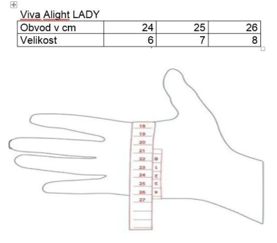 Blizzard Viva Davos ski gloves black