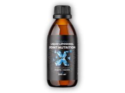 BrainMax Lipozomálna Kĺbová výživa Acti-Joint 250ml