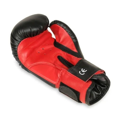 BUSHIDO Boxerské rukavice DBX ARB-407v3