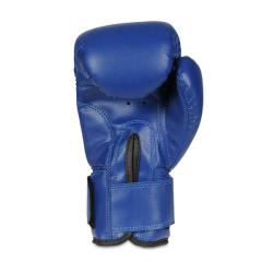 BUSHIDO Boxerské rukavice DBX ARB-407v4 6 oz.