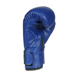 BUSHIDO Boxerské rukavice DBX ARB-407v4 6 oz.