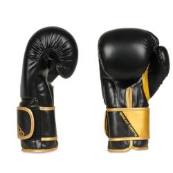 BUSHIDO Boxerské rukavice DBX B-2v10