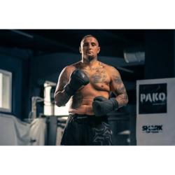 BUSHIDO Boxerské rukavice DBX B-2v15B