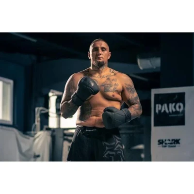BUSHIDO Boxerské rukavice DBX B-2v15B