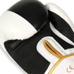 BUSHIDO Boxerské rukavice DBX B-2v16