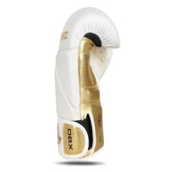 BUSHIDO Boxerské rukavice DBX B-2v19