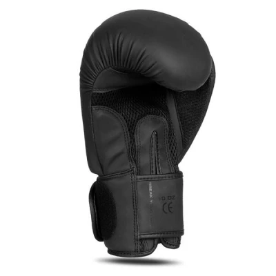 BUSHIDO Boxerské rukavice DBX B-2v21