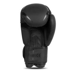 BUSHIDO Boxerské rukavice DBX B-2v22