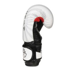 BUSHIDO Boxerské rukavice DBX B-2v8