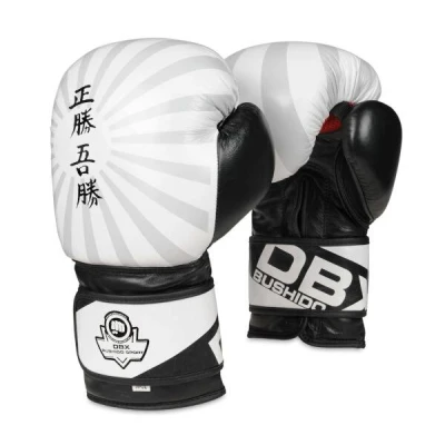 BUSHIDO Boxerské rukavice DBX B-2v8 BUSHIDO Boxerské rukavice DBX B-2v8