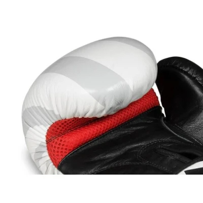 BUSHIDO Boxerské rukavice DBX B-2v8