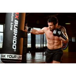BUSHIDO Boxerské rukavice DBX B-3W Pro