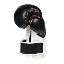 BUSHIDO Boxerské rukavice DBX B-3W Pro POUZE 10oz. (VÝPRODEJ)