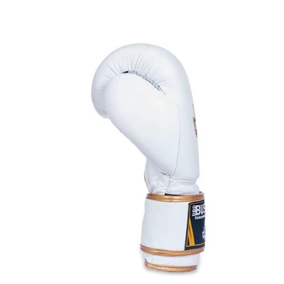 BUSHIDO Boxerské rukavice DBX DBD-B-2