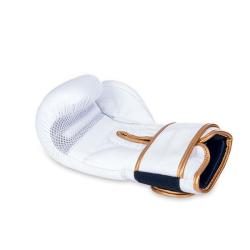 BUSHIDO Boxerské rukavice DBX DBD-B-2