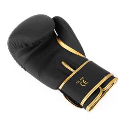 BUSHIDO Boxerské rukavice DBX Gold Dragon