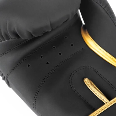 BUSHIDO Boxerské rukavice DBX Gold Dragon