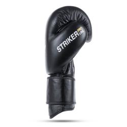 BUSHIDO Boxerské rukavice DBX Striker