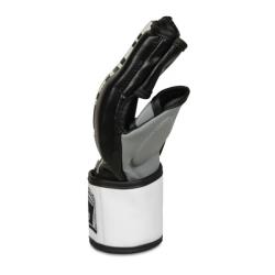 BUSHIDO MMA rukavice DBX ARM-2023