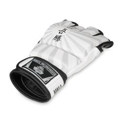 BUSHIDO MMA rukavice DBX E1v7